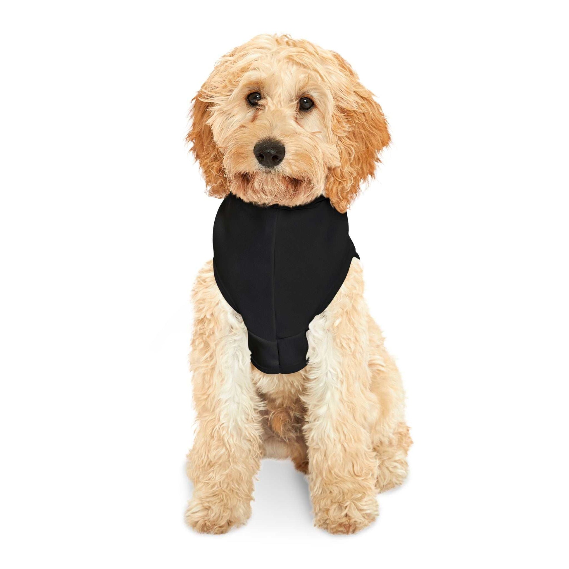 Black pet hoodie with winged heart design on dog, durable polyester, available in multiple sizes.