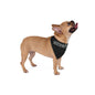 Security Pet Bandana – Stylish & Safe Accessory for Your Beloved Pet