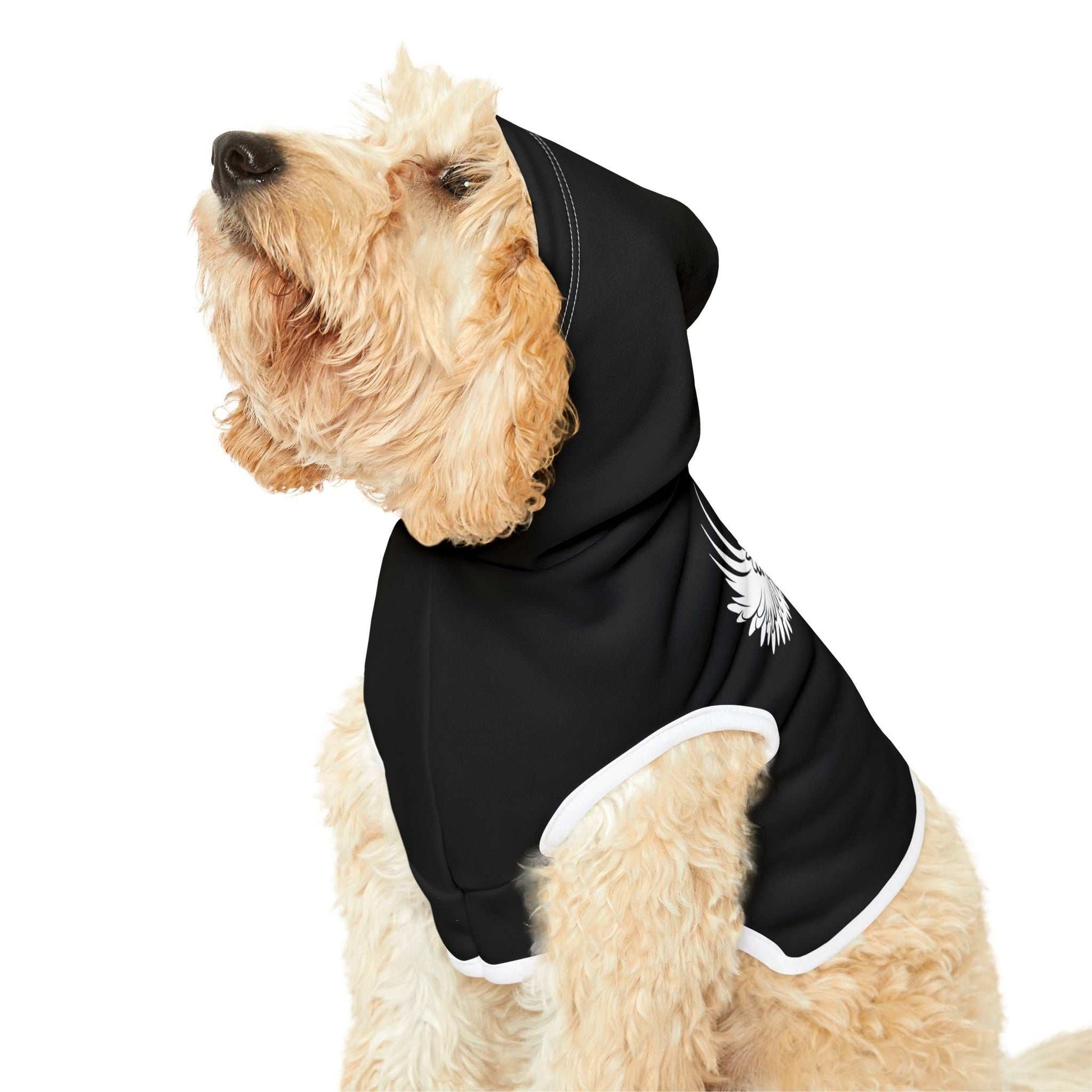 Stylish black pet hoodie with winged heart design on a dog