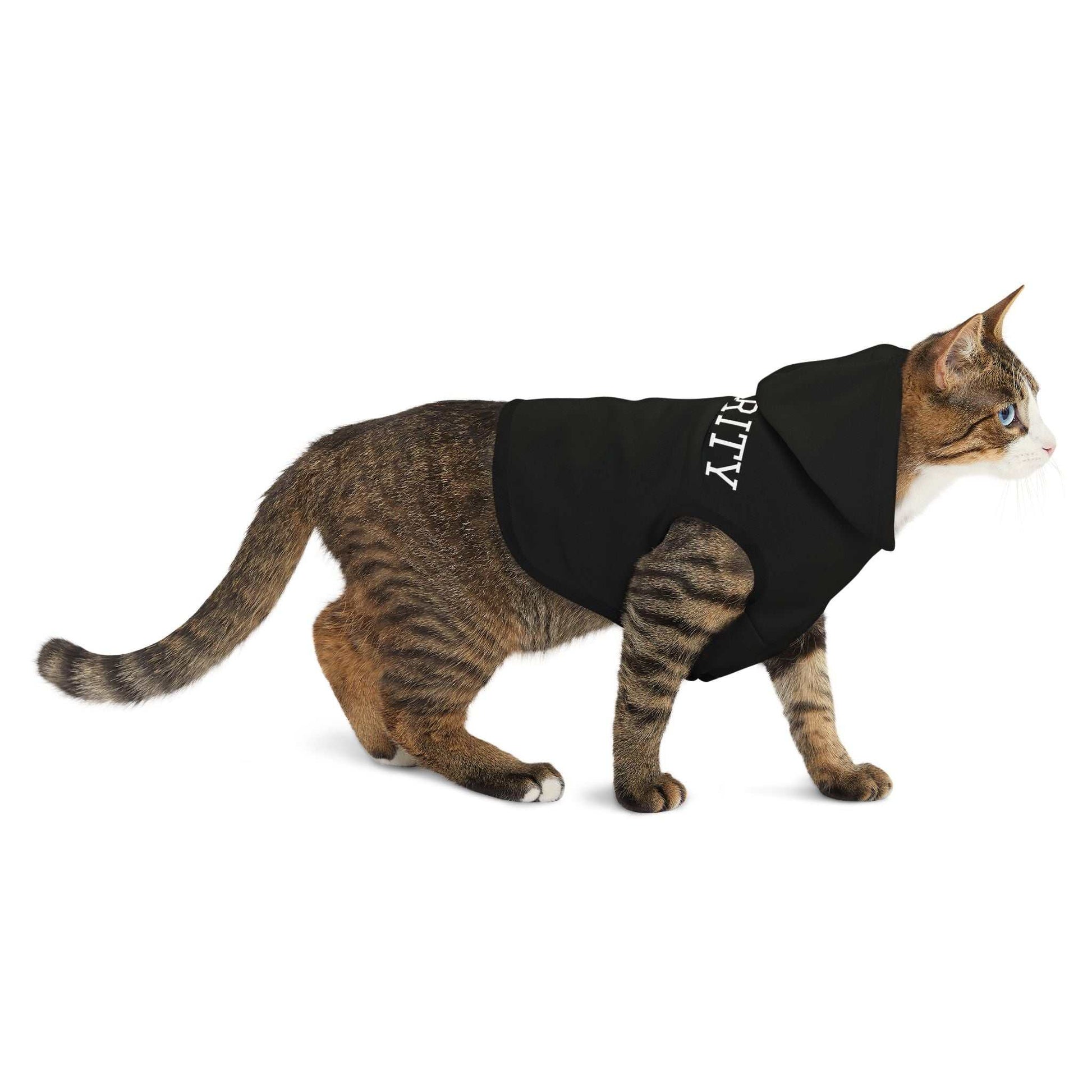 Security Pet Hoodie | Custom Pet Apparel for Stylish & Adorable Pets.