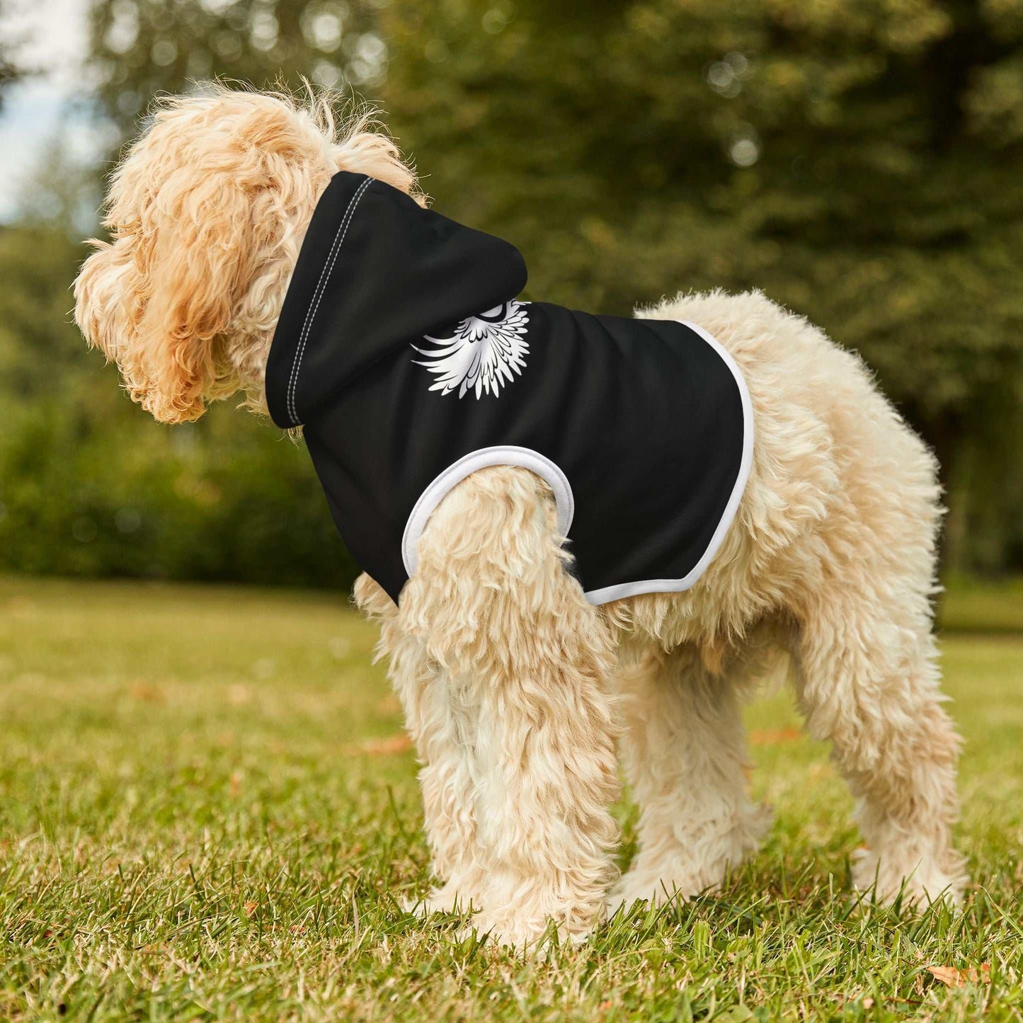 Fluffy dog wearing stylish black pet hoodie with winged heart design.